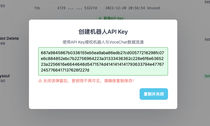 copy api key