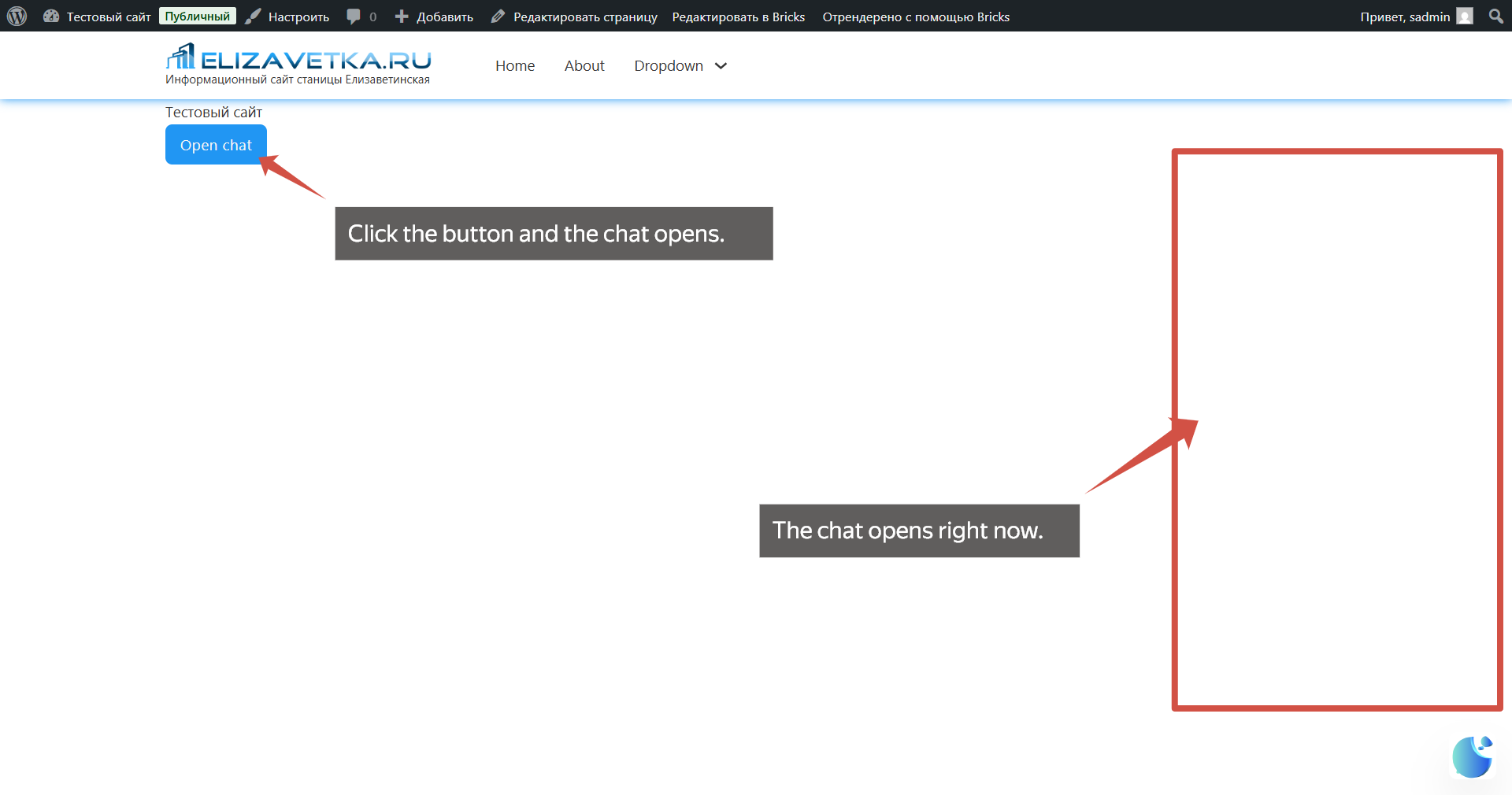 Widget button example